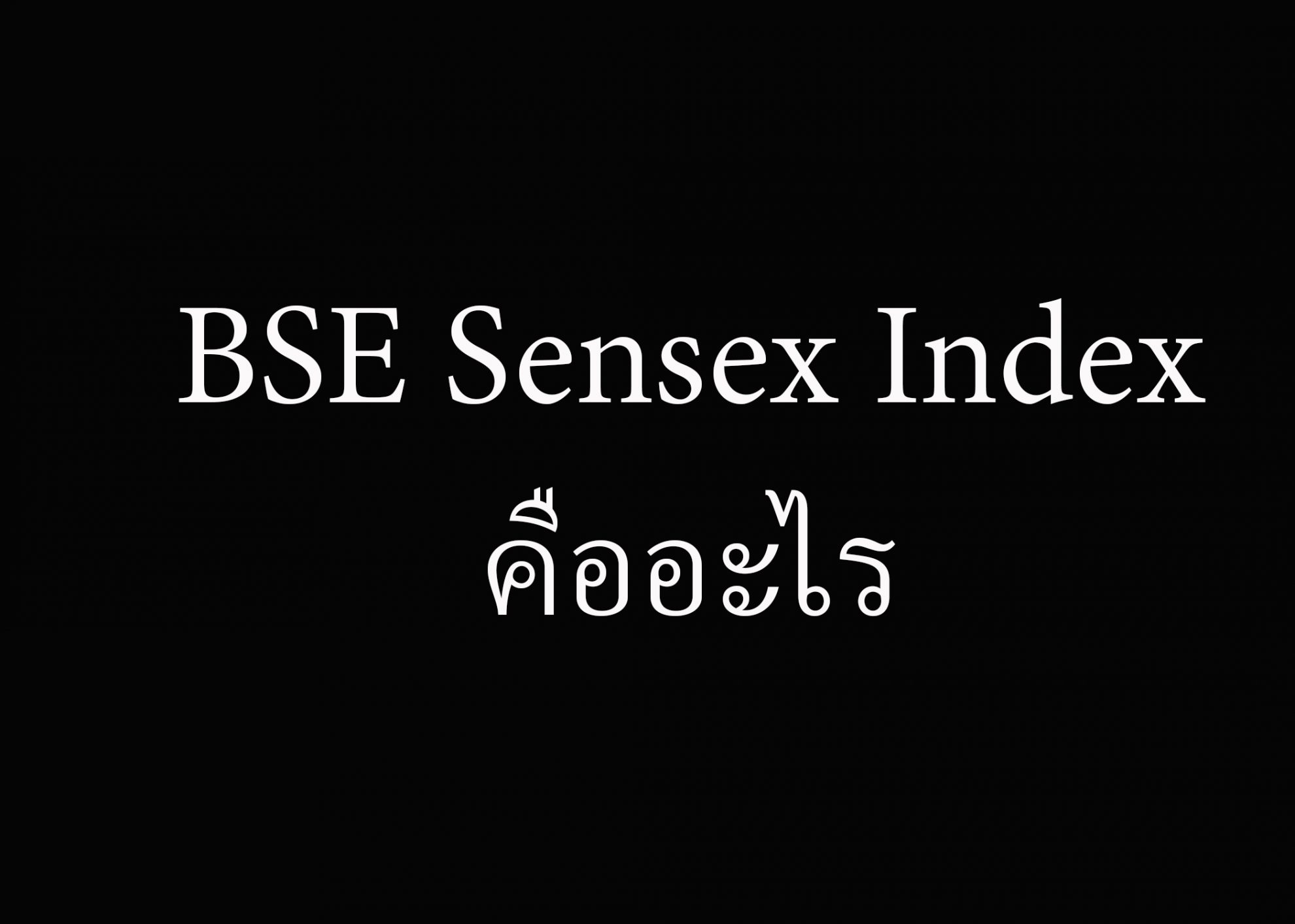 BSE Sensex Index คืออะไร - เอกพัน อาจหาญ